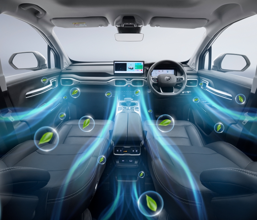 Auto-Dual-Zone